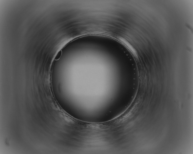 X0000091890956200709191215