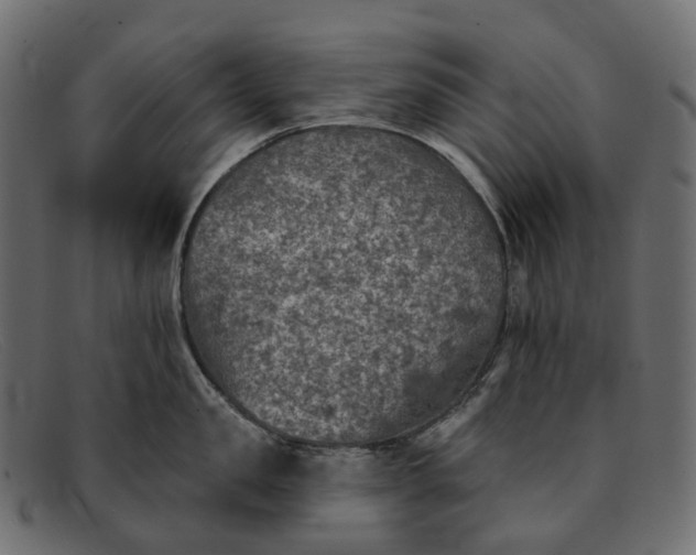 X0000091890957200709191215