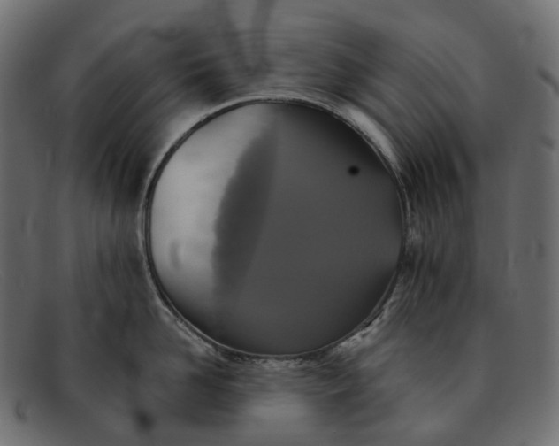 X0000091890958200709191215