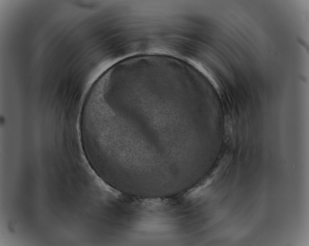 X0000091890959200709191215