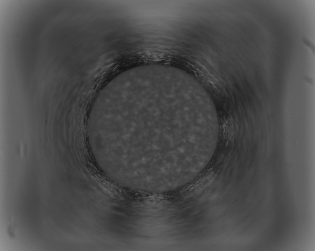 X0000091890961200709191214