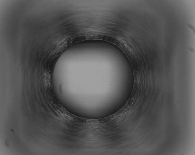 X0000091890964200709191214
