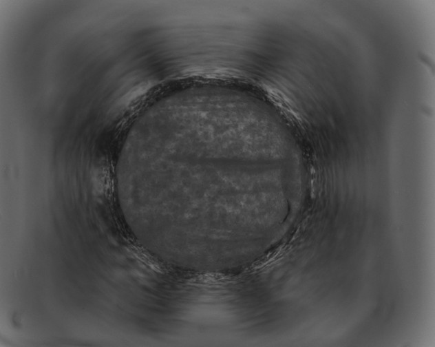 X0000091890966200709191214