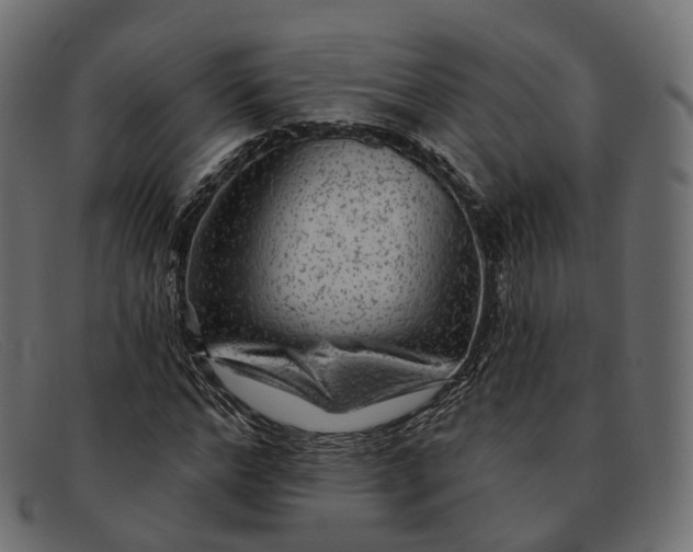 X0000091890968200709191214