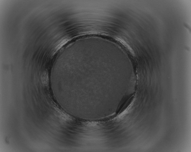 X0000091890969200709191214