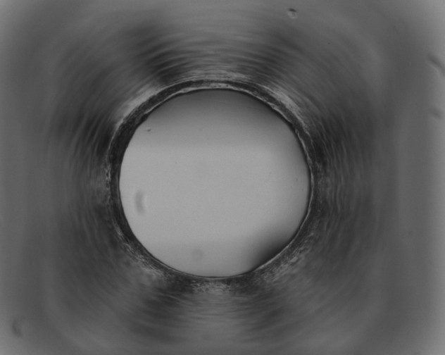 X0000091890971200709191214