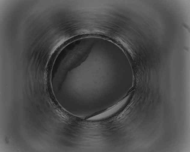 X0000091890975200709191214