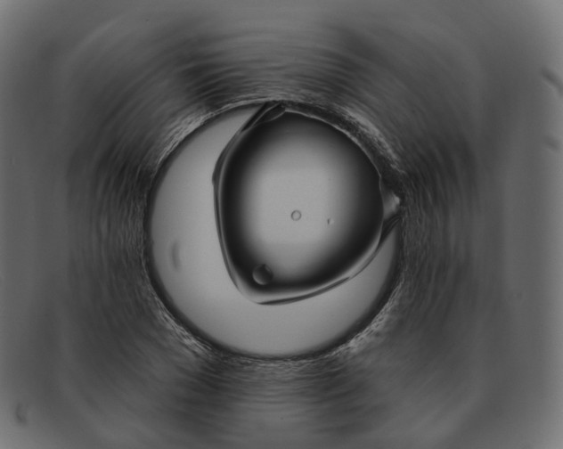 X0000091890977200709191214