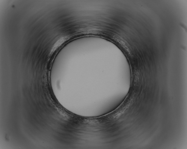 X0000091890978200709191214