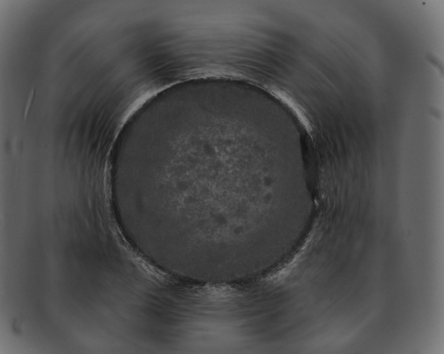 X0000091890983200709191214