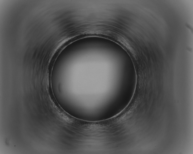X0000091890984200709191214