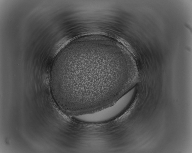 X0000091890985200709191214