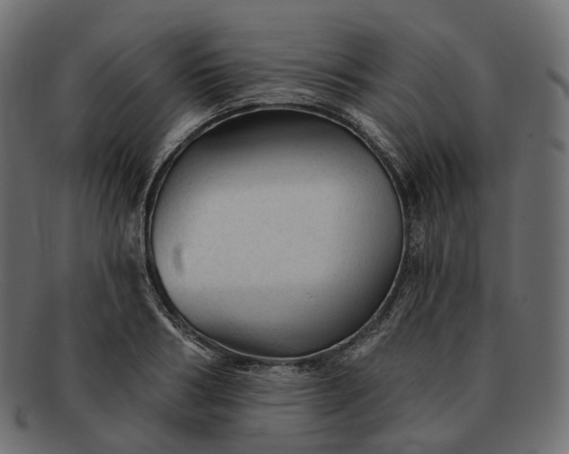 X0000091890986200709191214