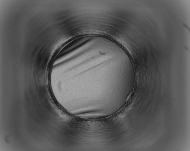 X0000091890987200709191214