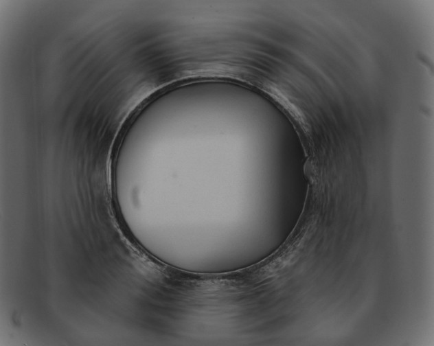 X0000091890988200709191214
