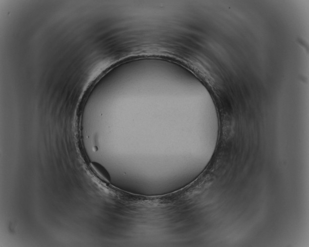 X0000091890990200709191214