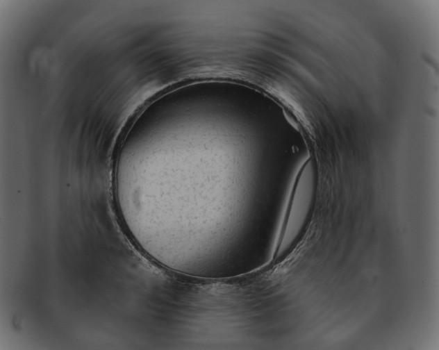 X0000091890992200709191213