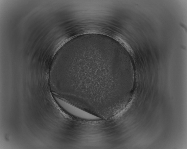 X0000091890993200709191213