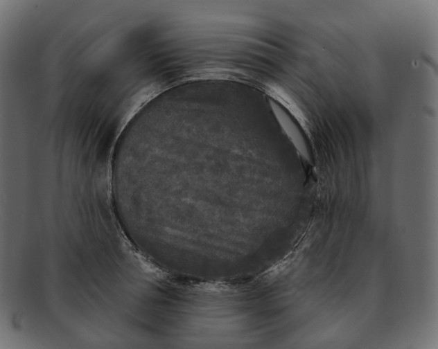 X0000091890994200709191213