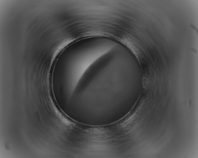 X0000091890995200709191213