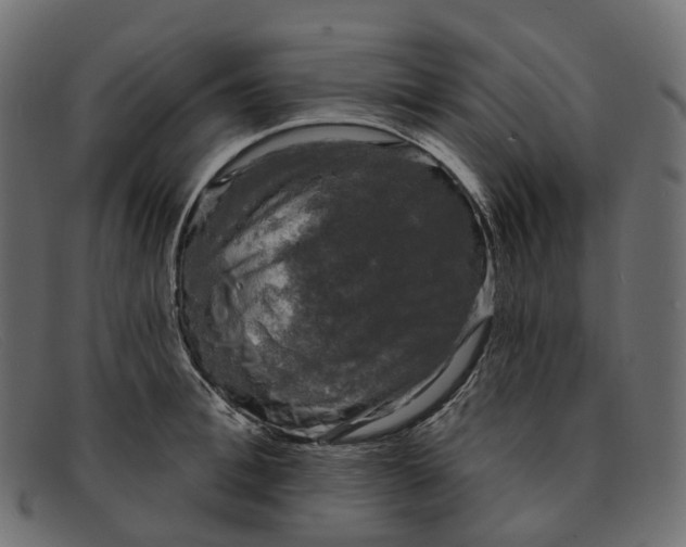 X0000091890996200709191213
