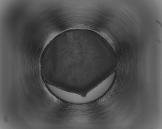X0000091890998200709191213