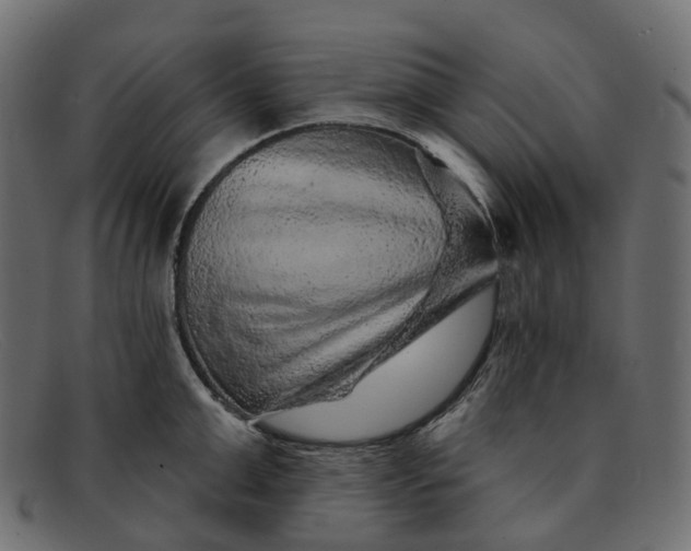 X0000091890999200709191213
