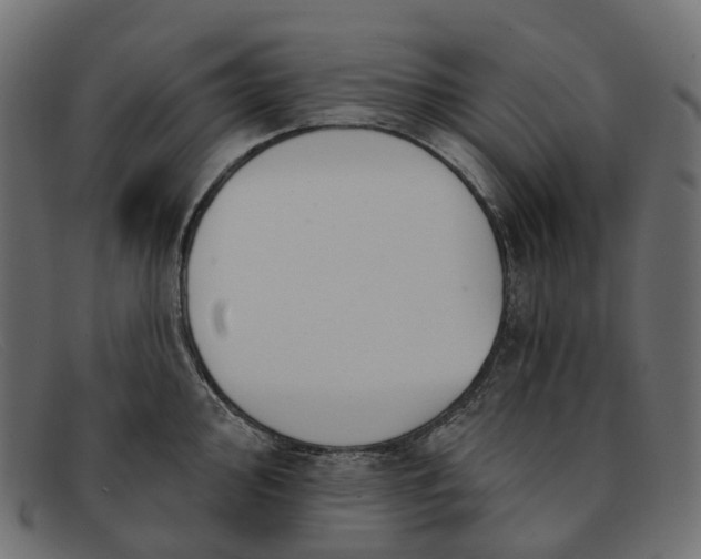 X0000091891000200709191213