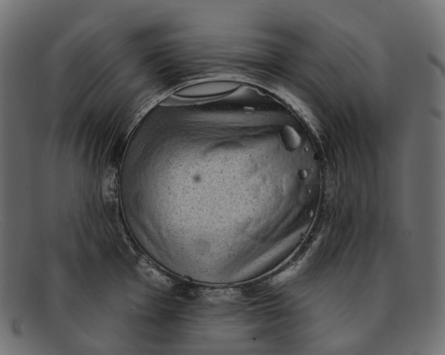 X0000091891001200709191213