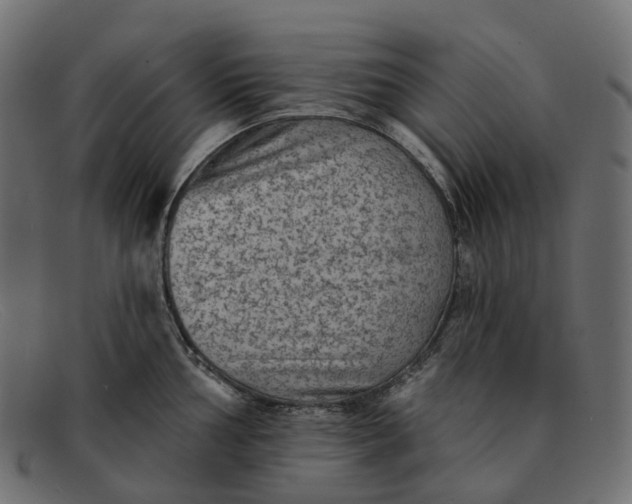 X0000091891002200709191213
