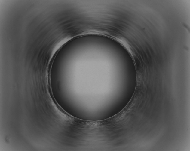 X0000091891003200709191213
