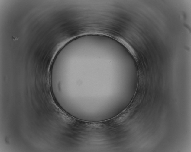 X0000091891004200709191213