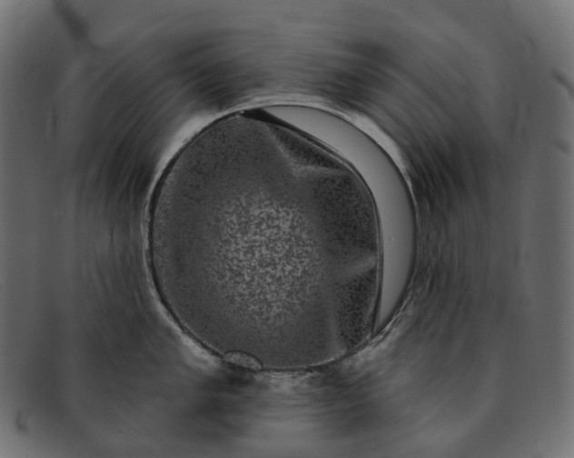 X0000091891005200709191213