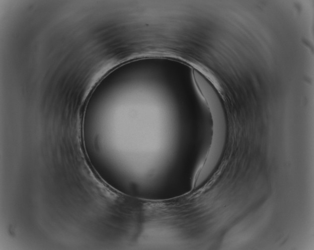 X0000091891006200709191213