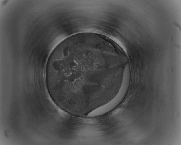 X0000091891007200709191213