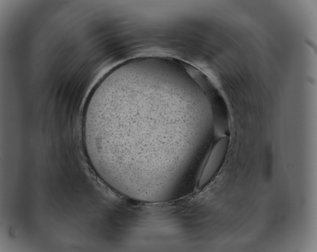 X0000091891008200709191213