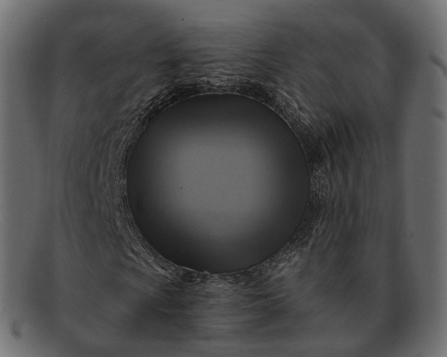 X0000091891009200709191213