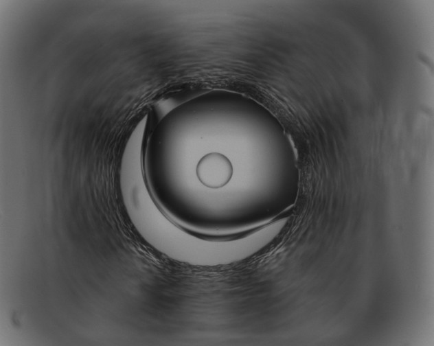 X0000091891010200709191213