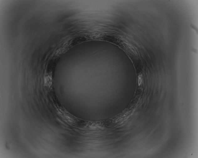 X0000091891011200709191213