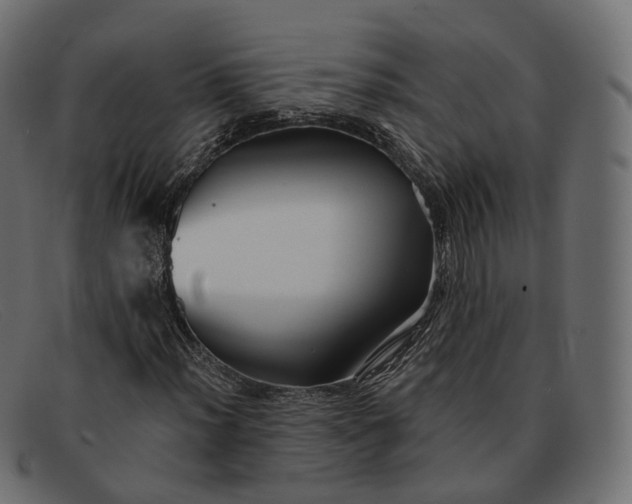 X0000091891012200709191213
