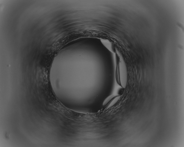 X0000091891013200709191213