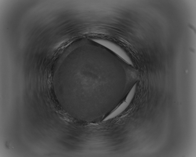 X0000091891014200709191213