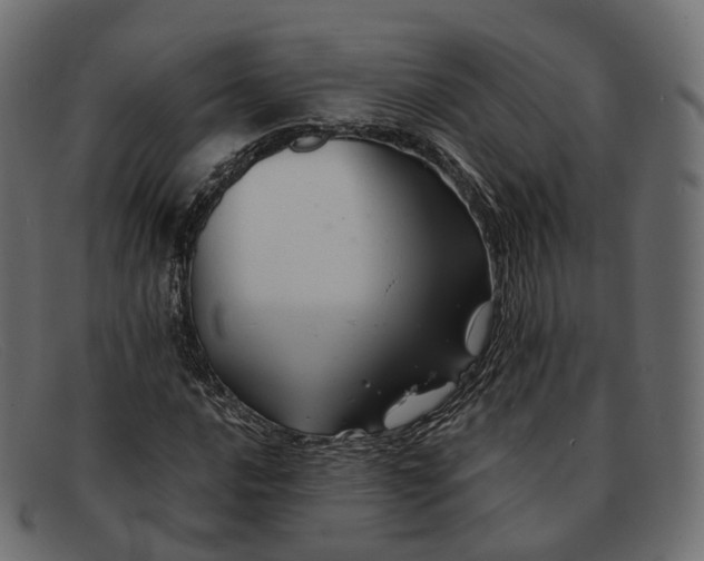 X0000091891016200709191213
