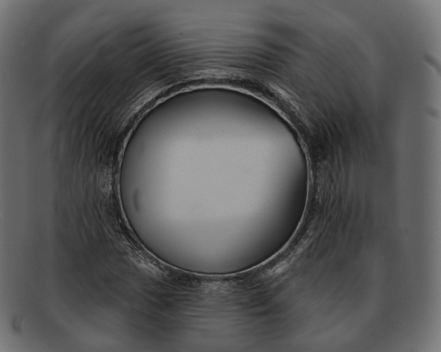 X0000091891017200709191213