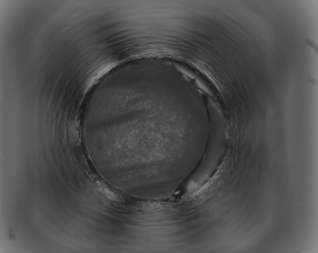 X0000091891018200709191213