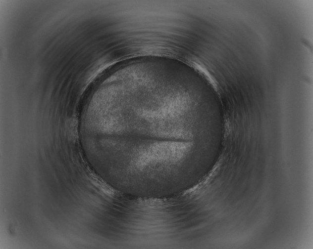 X0000091891019200709191213