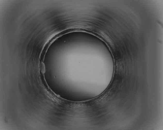 X0000091891020200709191213