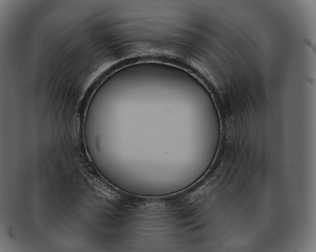 X0000091891021200709191213