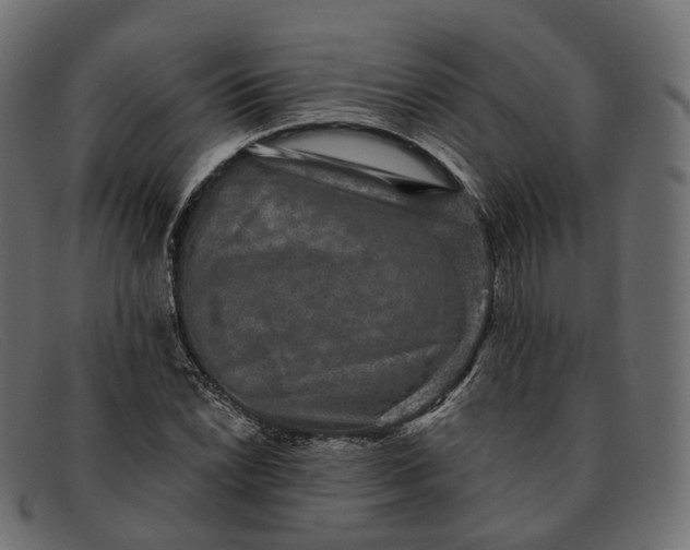 X0000091891022200709191213