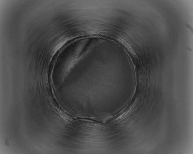 X0000091891023200709191213